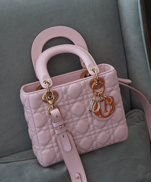 디올 엔젤 디올 레이디백 스몰