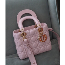 디올 엔젤 디올 레이디백 스몰