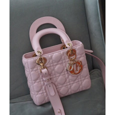 디올 엔젤 디올 레이디백 스몰