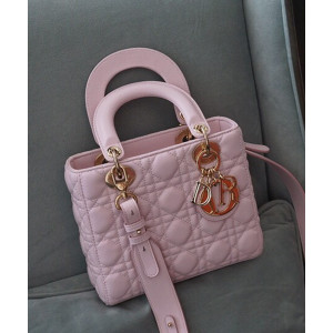 디올 엔젤 디올 레이디백 스몰