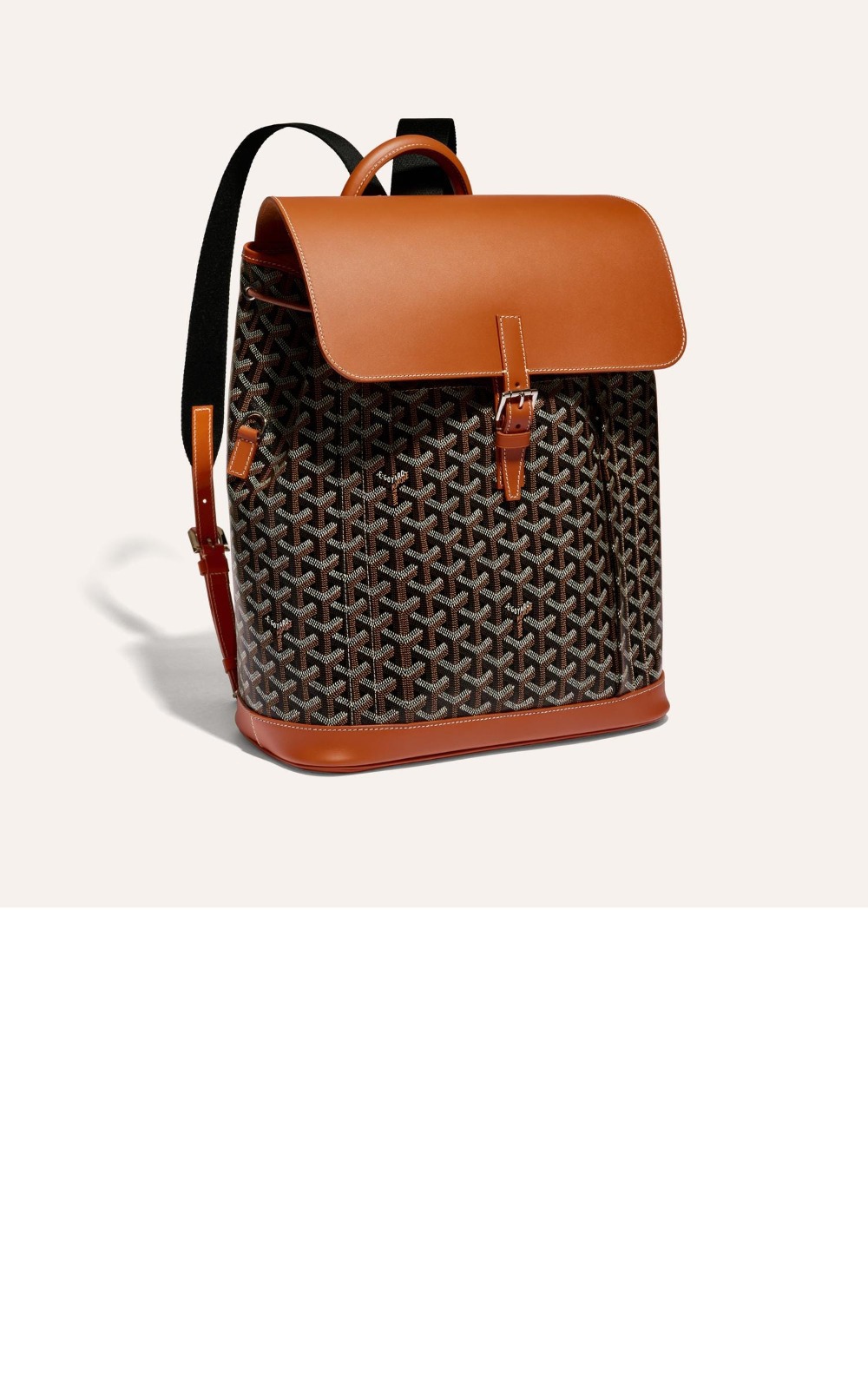 고야드 알핀 백팩 MM