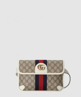 구찌 오피디아 GG 벨트백 674081