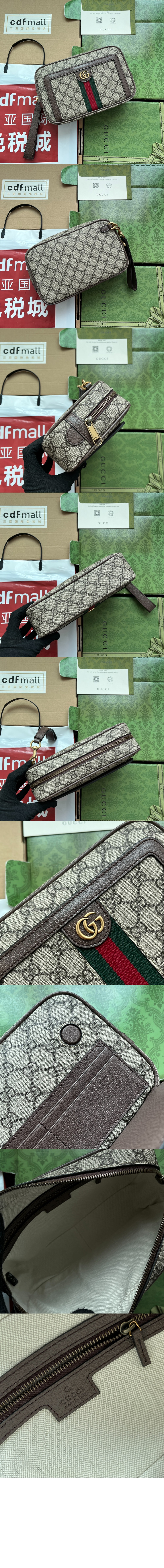 구찌 오피디아 GG 파우치 760245