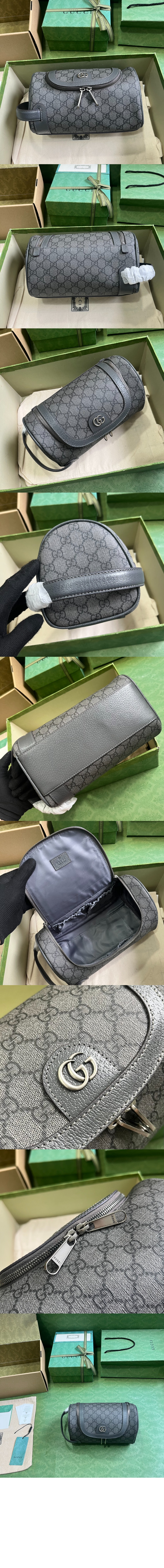 구찌 코스메틱 케이스 739670