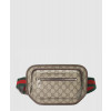 구찌 GG 벨트백 760217