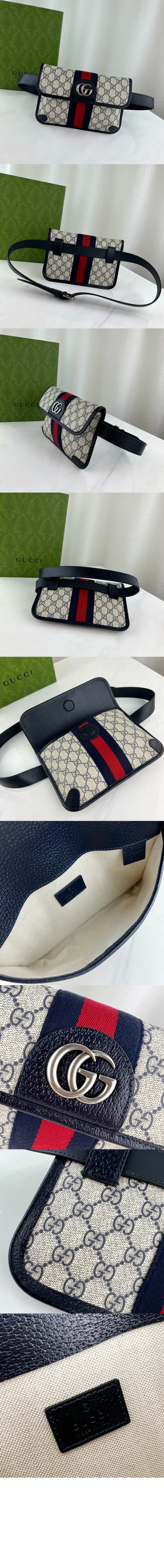 구찌 오피디아 GG 벨트백 674081