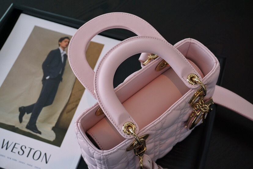 디올 엔젤 디올 레이디백 스몰