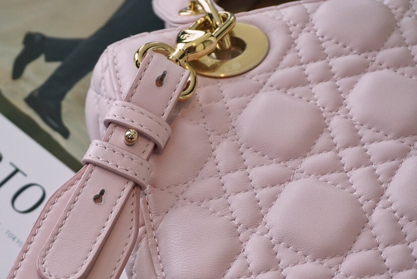 디올 엔젤 디올 레이디백 스몰