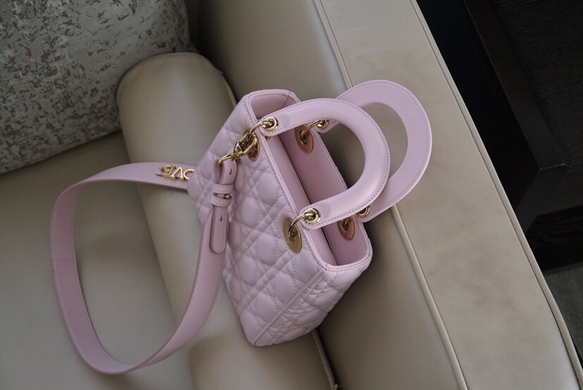 디올 엔젤 디올 레이디백 스몰