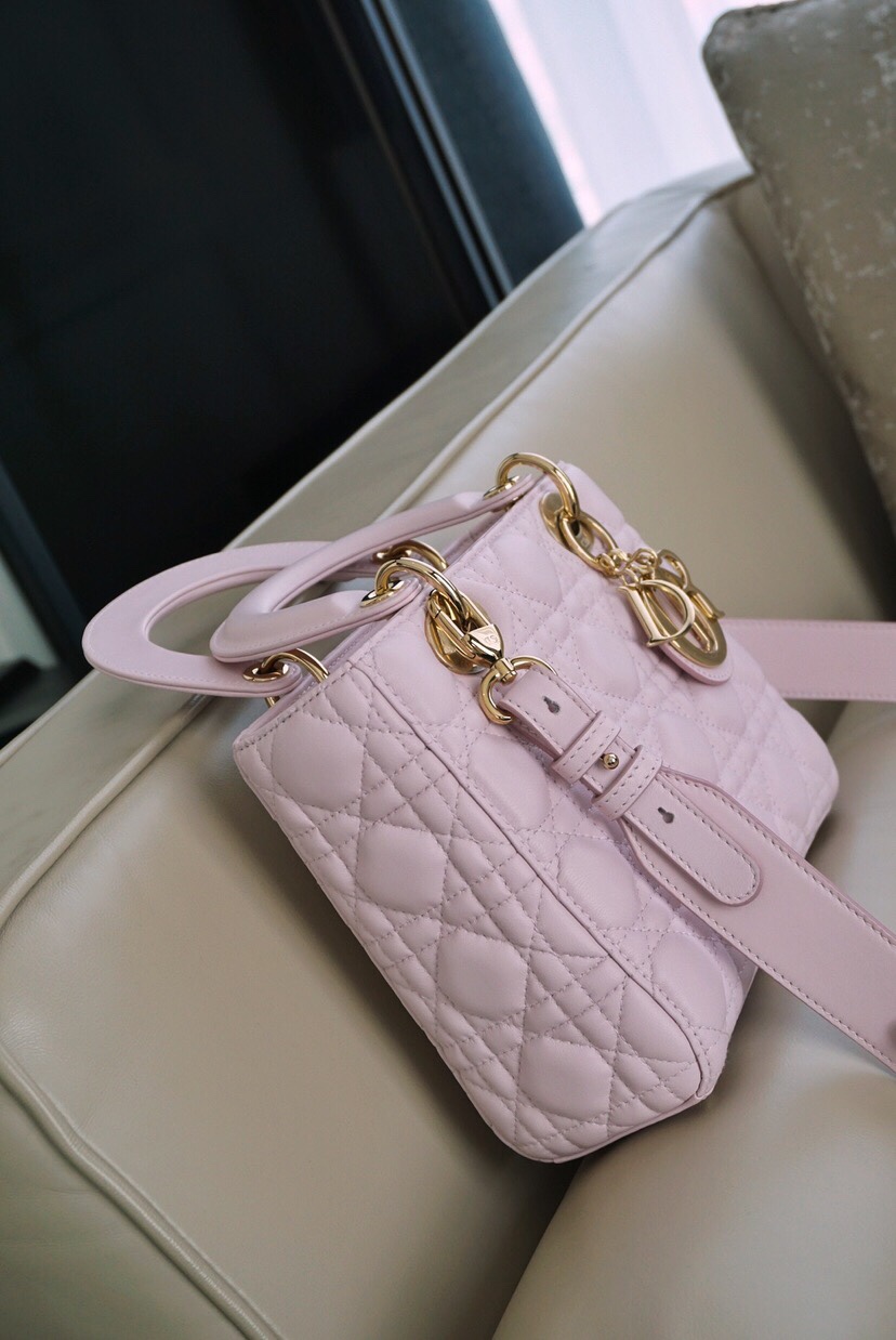 디올 엔젤 디올 레이디백 스몰