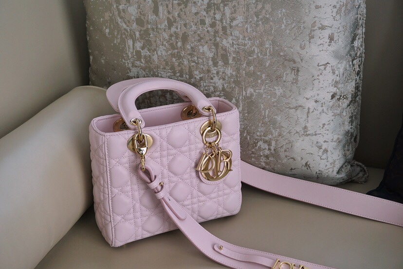 디올 엔젤 디올 레이디백 스몰
