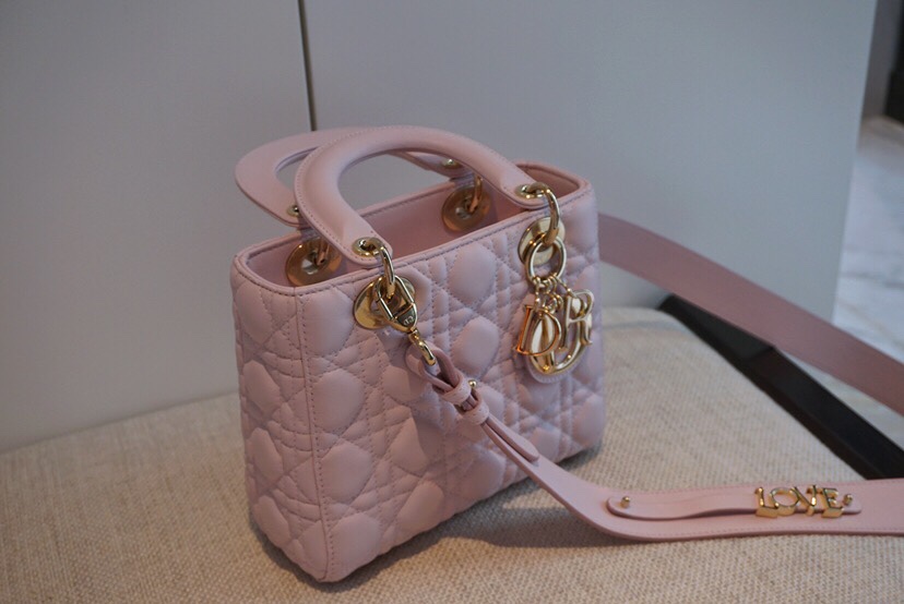 디올 엔젤 디올 레이디백 스몰