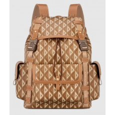 디올 힛 더 로드 백팩 1ESBA