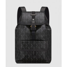 디올 히트 더 로드 백팩 1ESBA