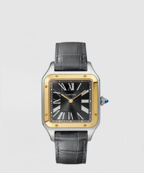 까르띠에 산토스 뒤몽 43.5 W2SA0015