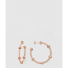 까르띠에 에크루 드 까르띠에 귀걸이 B8301408