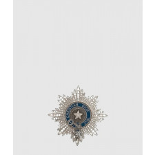 디올 브로치 V1234