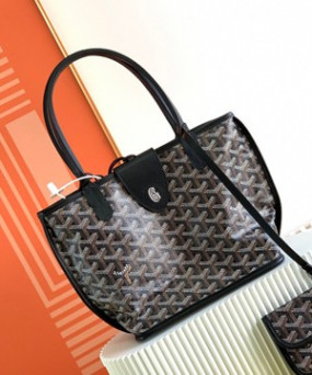 고야드 페인팅 앙주 미니백 블랙