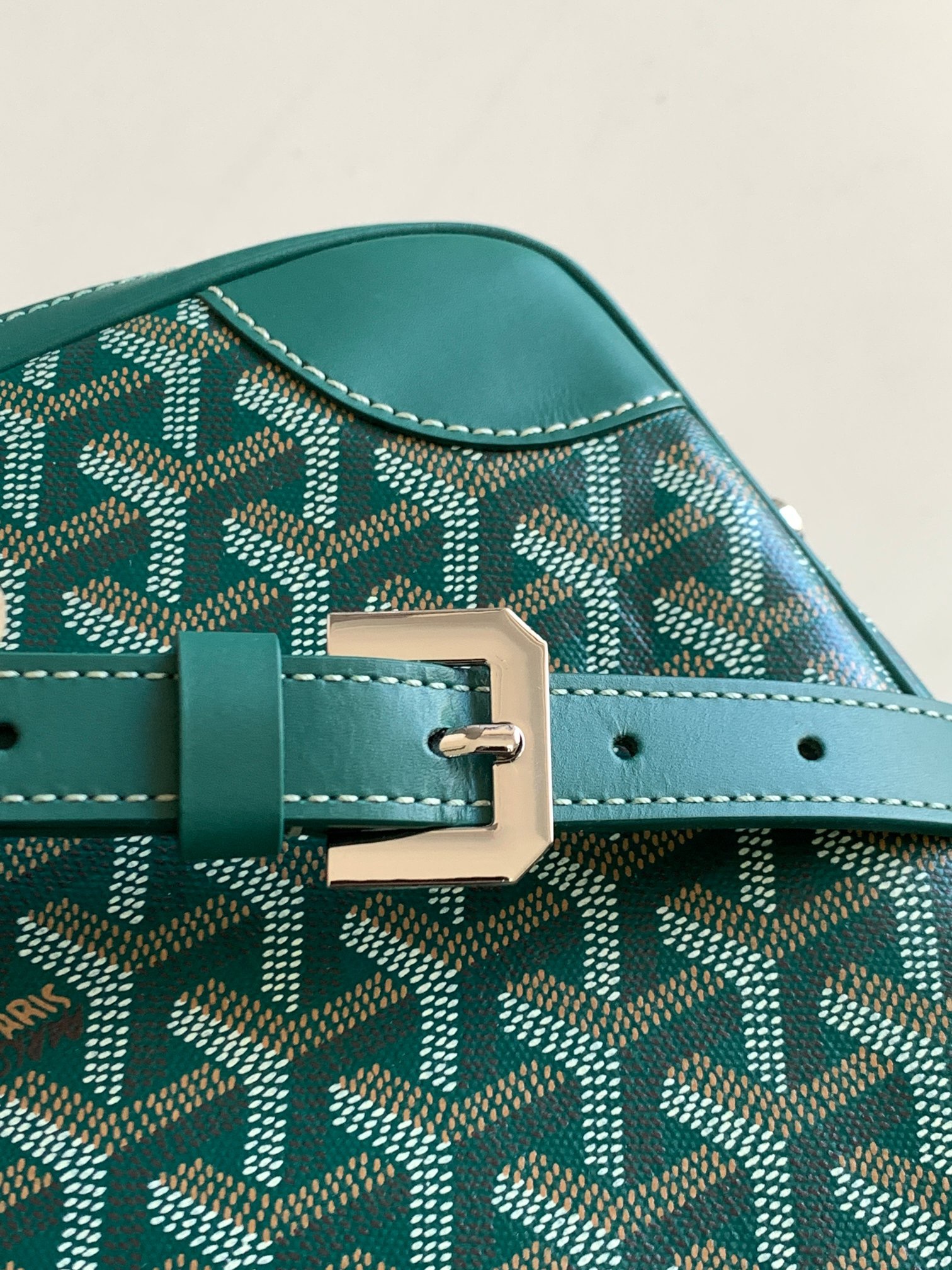 고야드 암바사드 토트백 그린