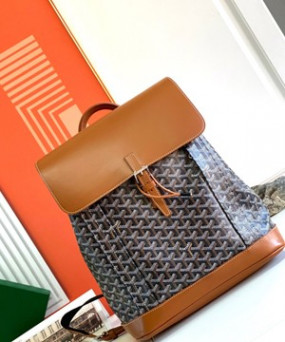 고야드 알핀 백팩 블랙 탄