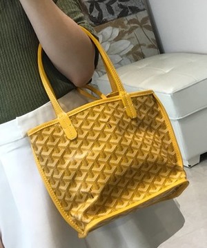 고야드 앙주 백