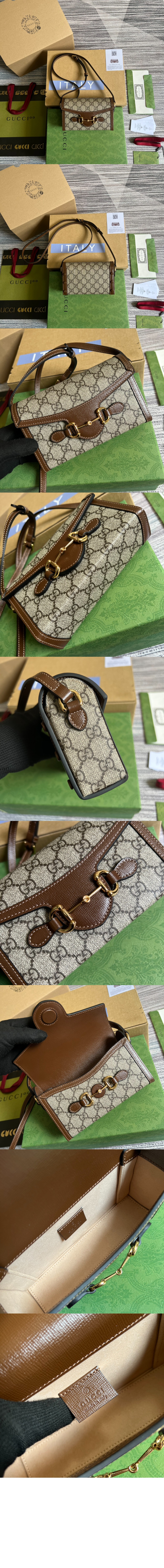 미니 크로스백 699296