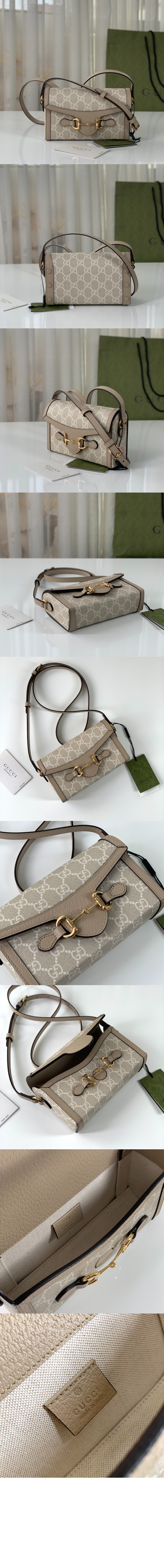 미니 크로스백 699296