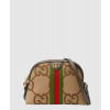 구찌 오피디아 스몰 숄더백 499621