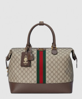 여행 가방 763295