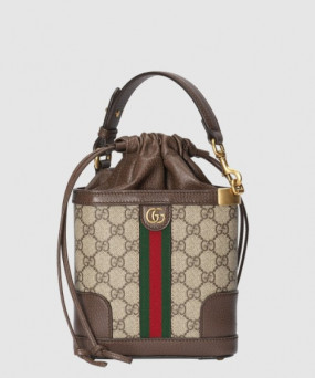 구찌 오피디아 GG 숄더백 752583