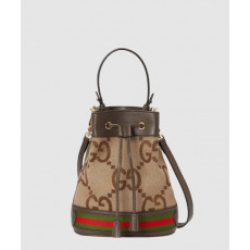 스몰 GG 버킷백 550621