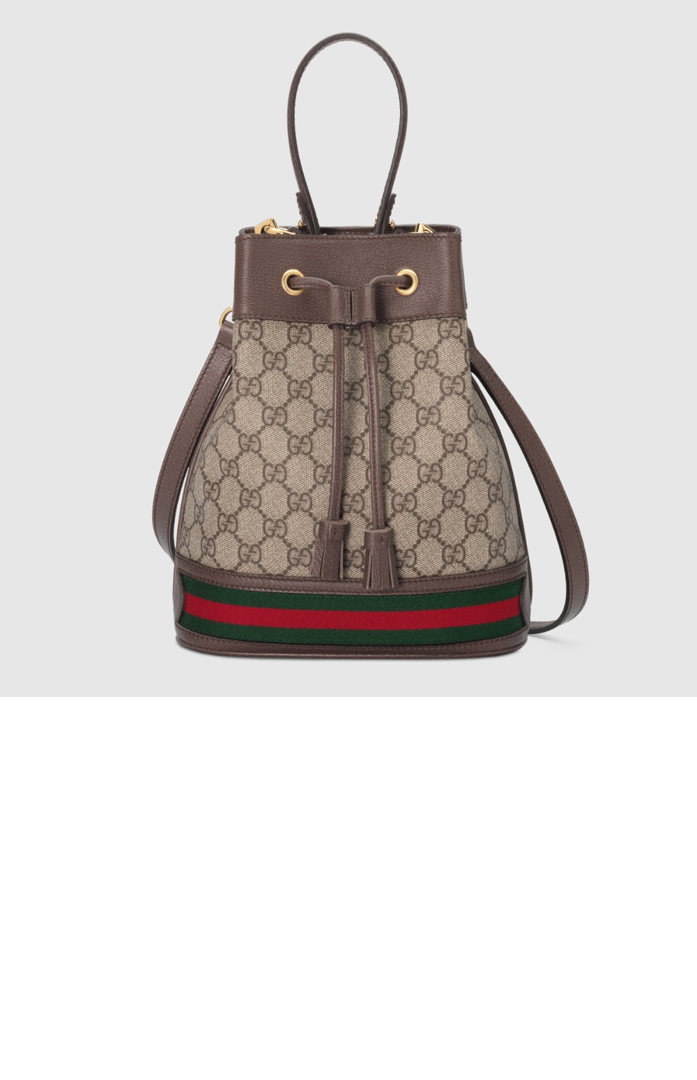 스몰 GG 버킷백 550621