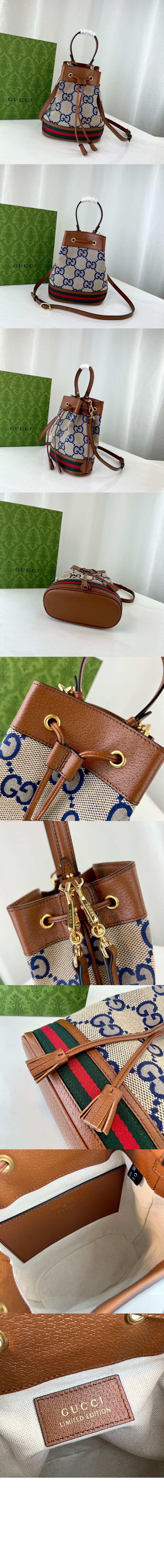 스몰 GG 버킷백 550621