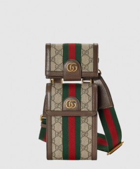 구찌 오피디아 GG 미니백 699173