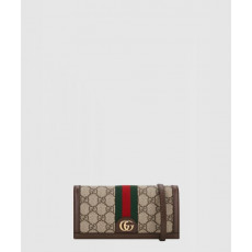 구찌 오피디아 GG 미니백 723619