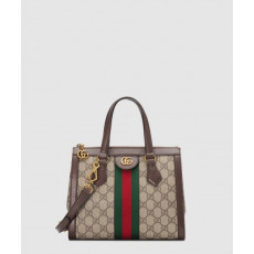 스몰 GG 토트백 547551