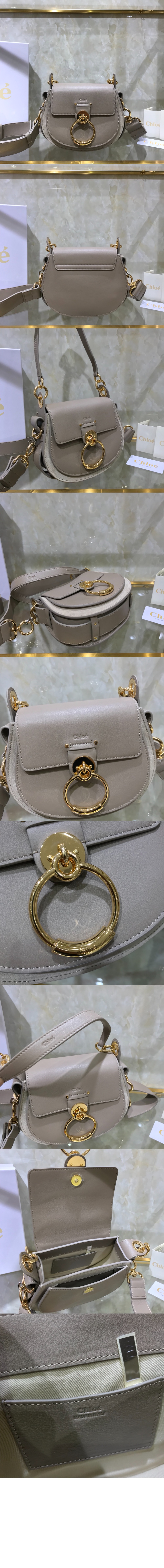 끌로에 샤이니 & 스웨이드 가죽 Tess 스몰백 AS751