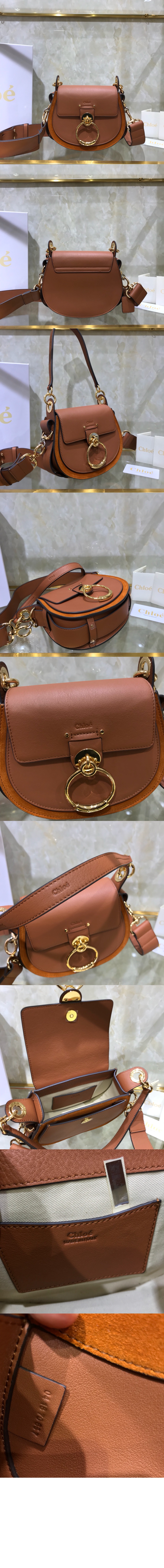 끌로에 샤이니 & 스웨이드 가죽 Tess 스몰백 AS751