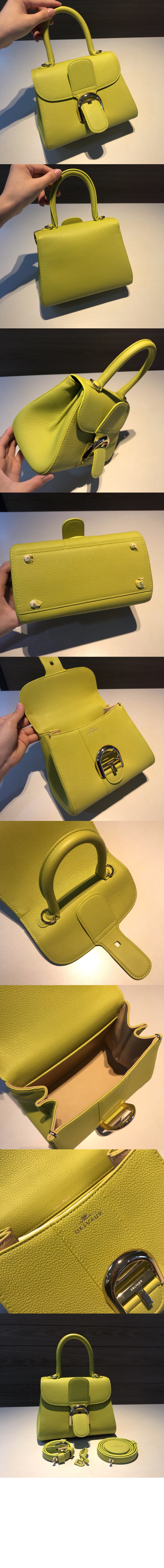 델보 브리앙 미니 로데오