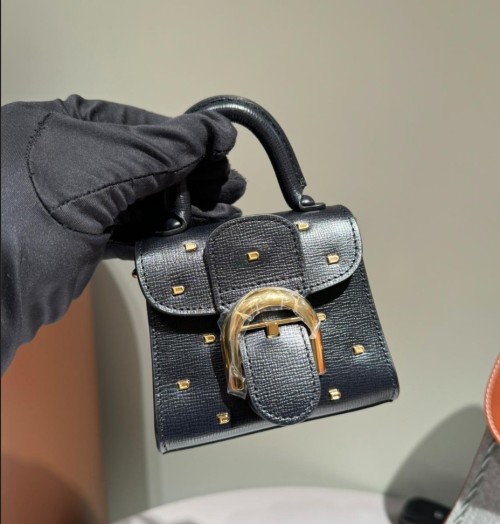 델보 브리앙 초미니백 11/6.5/10 cm