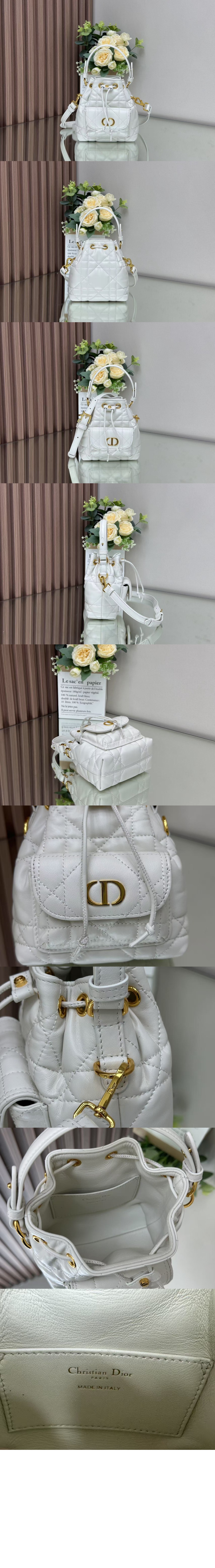 디올 Caro 나노 버킷백 S5250