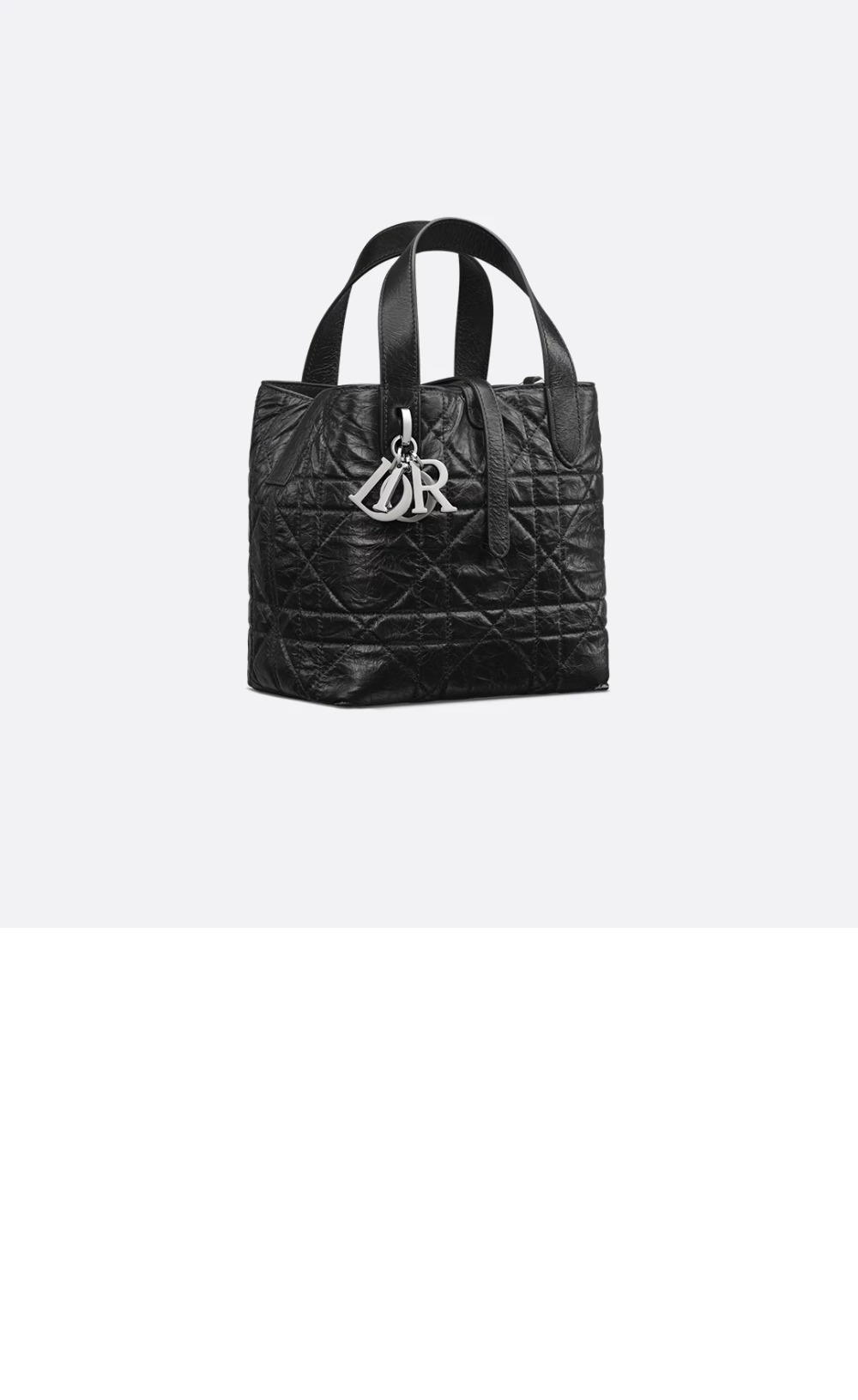 디올 Toujours 스몰 버티컬 토트백 M2835