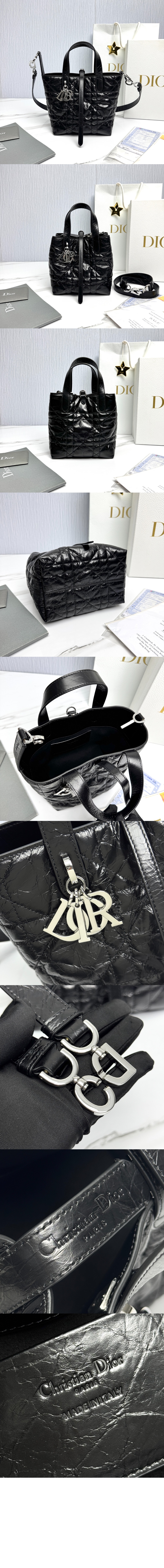 디올 Toujours 스몰 버티컬 토트백 M2835