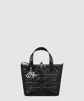 디올 Toujours 스몰 버티컬 토트백 M2835