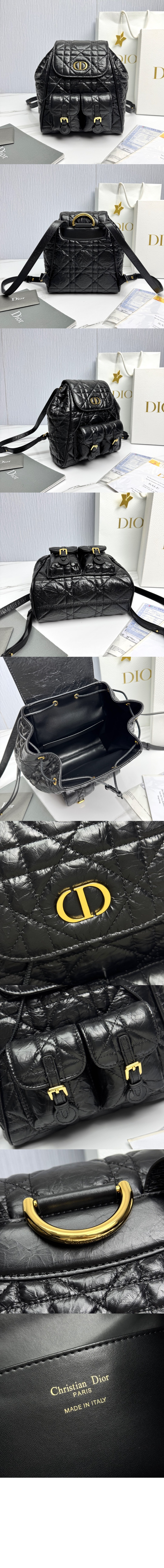 디올 카로 미디엄 백팩 M6301