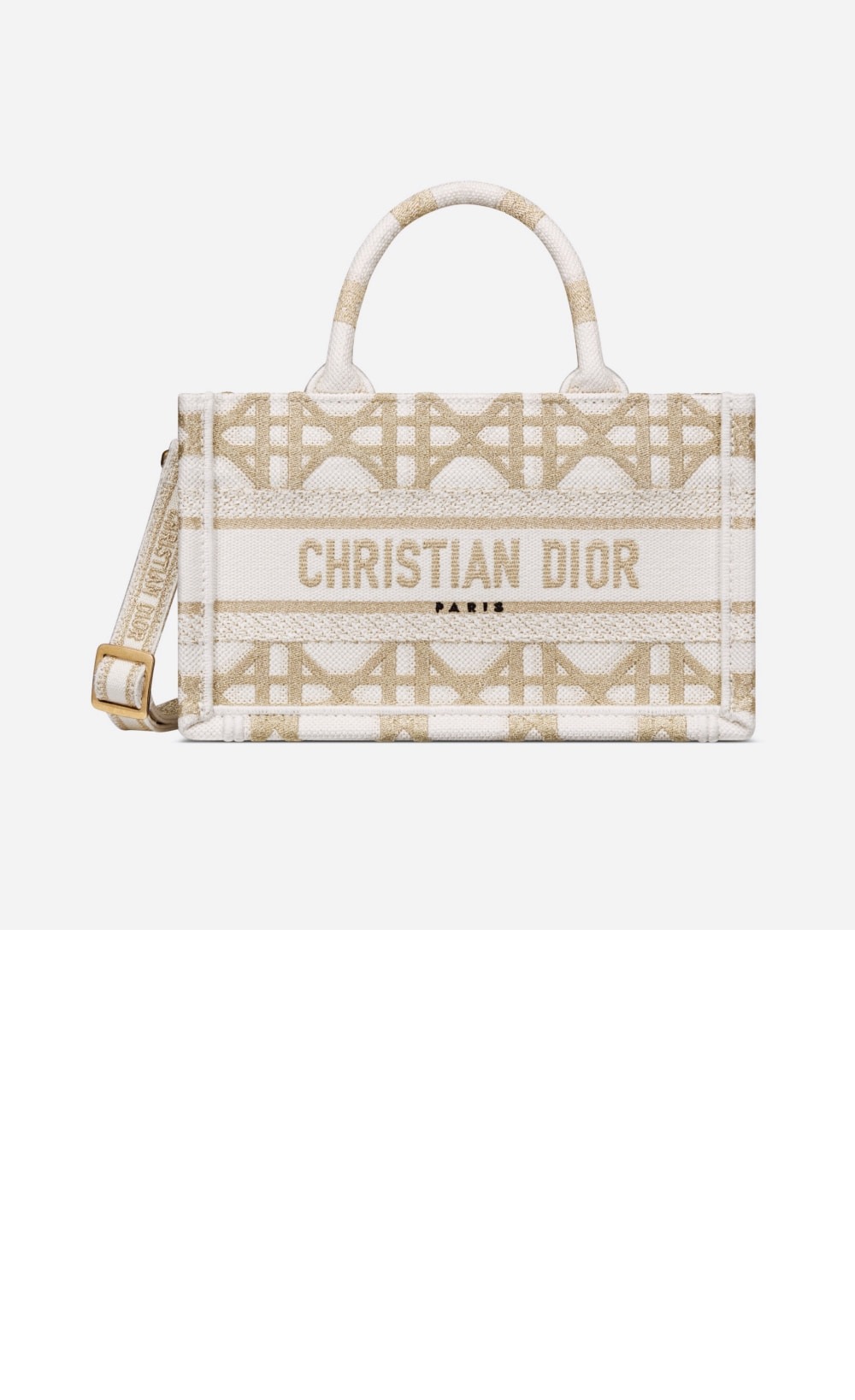 디올 북 토트 미니 숄더백 S5573