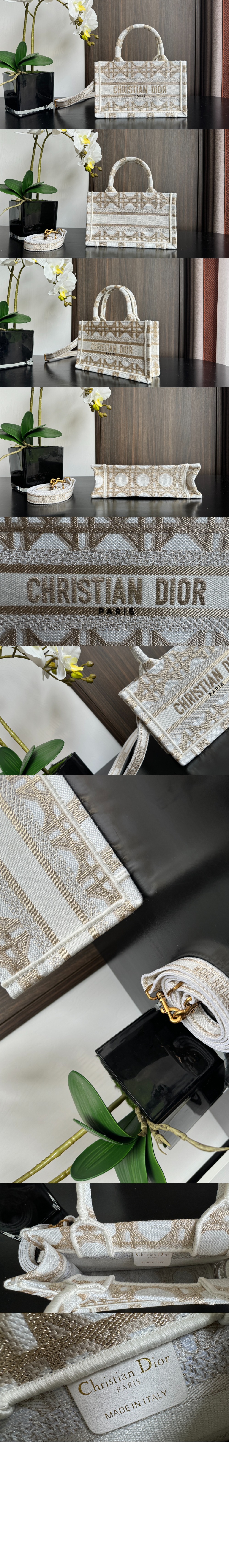 디올 북 토트 미니 숄더백 S5573