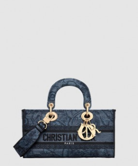 디올 레이디 디조이백 미듐 M0540