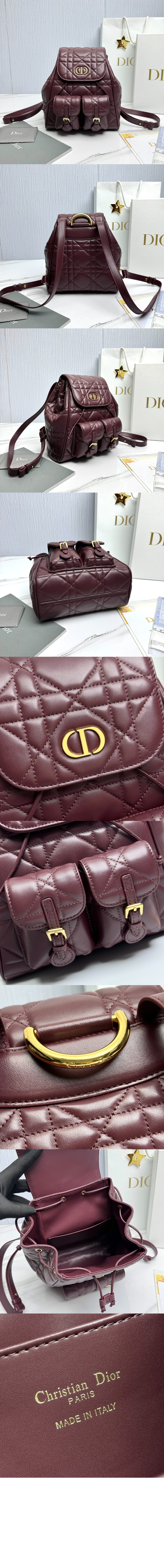 디올 카로 미디엄 백팩 M6301