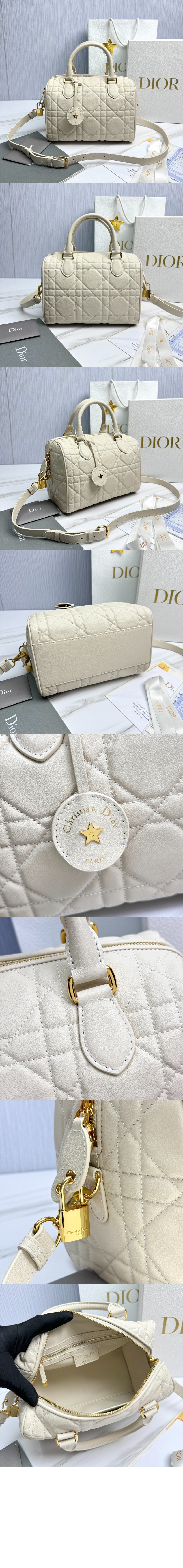 디올 Groove 25 백 M1365